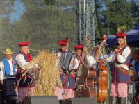 Dożynki Powiatowe 2016