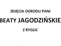 Ogrody 2018