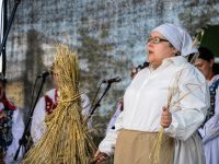 Dożynki Gminne 2018 - fot. Dawid Skruch